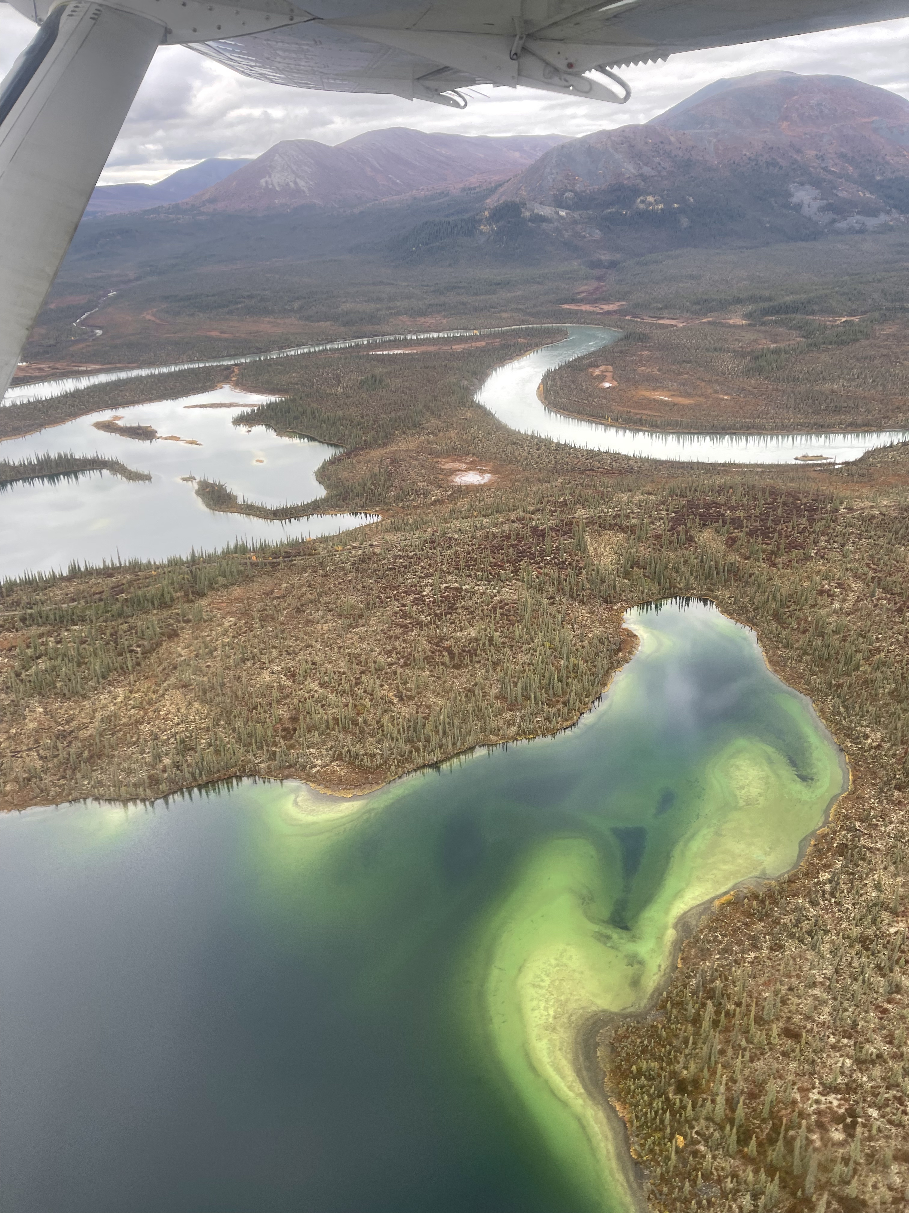 A lake with an algea bloom