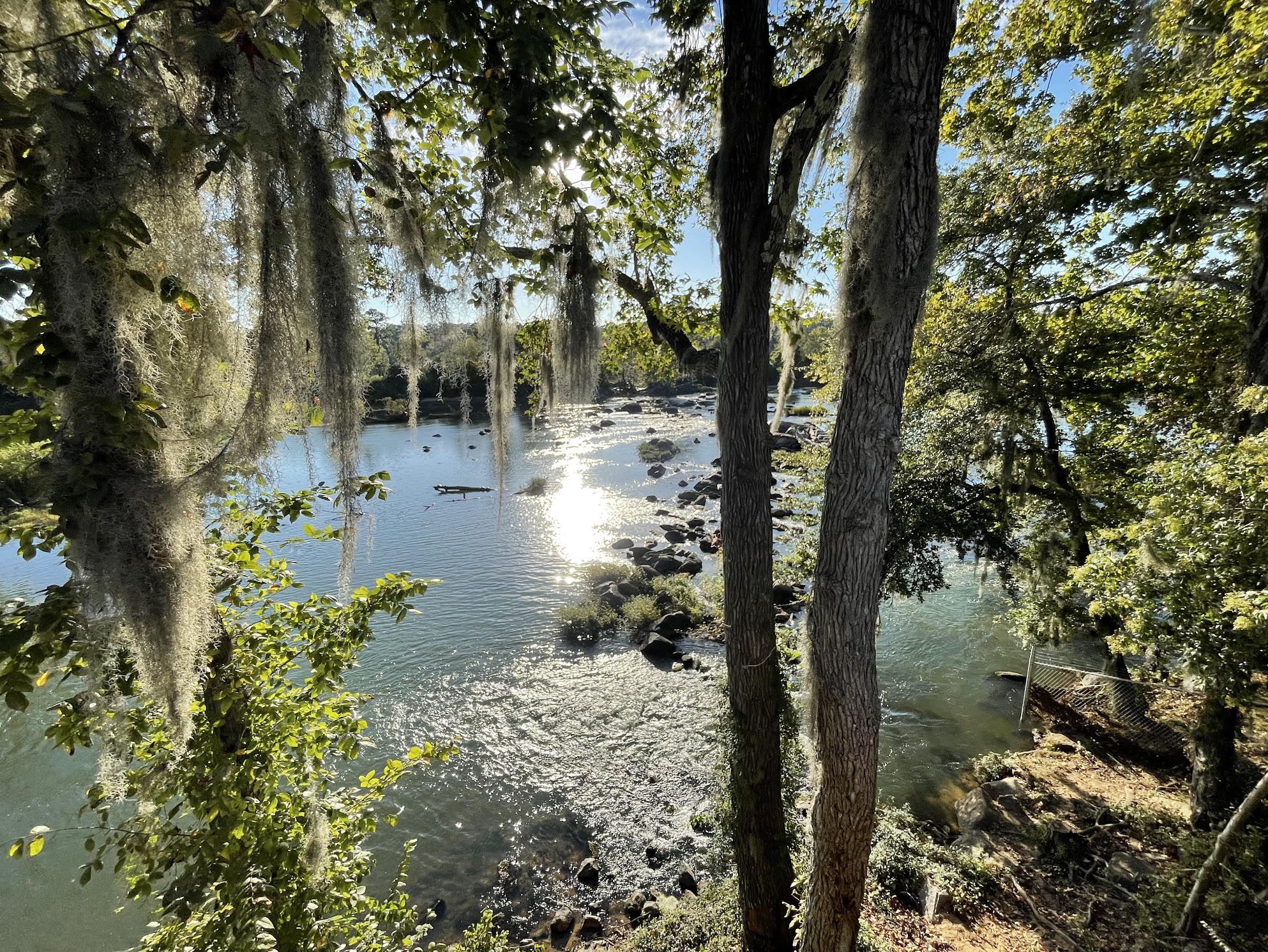 The Broad River in Columbia, SC with seen through spainsh moss