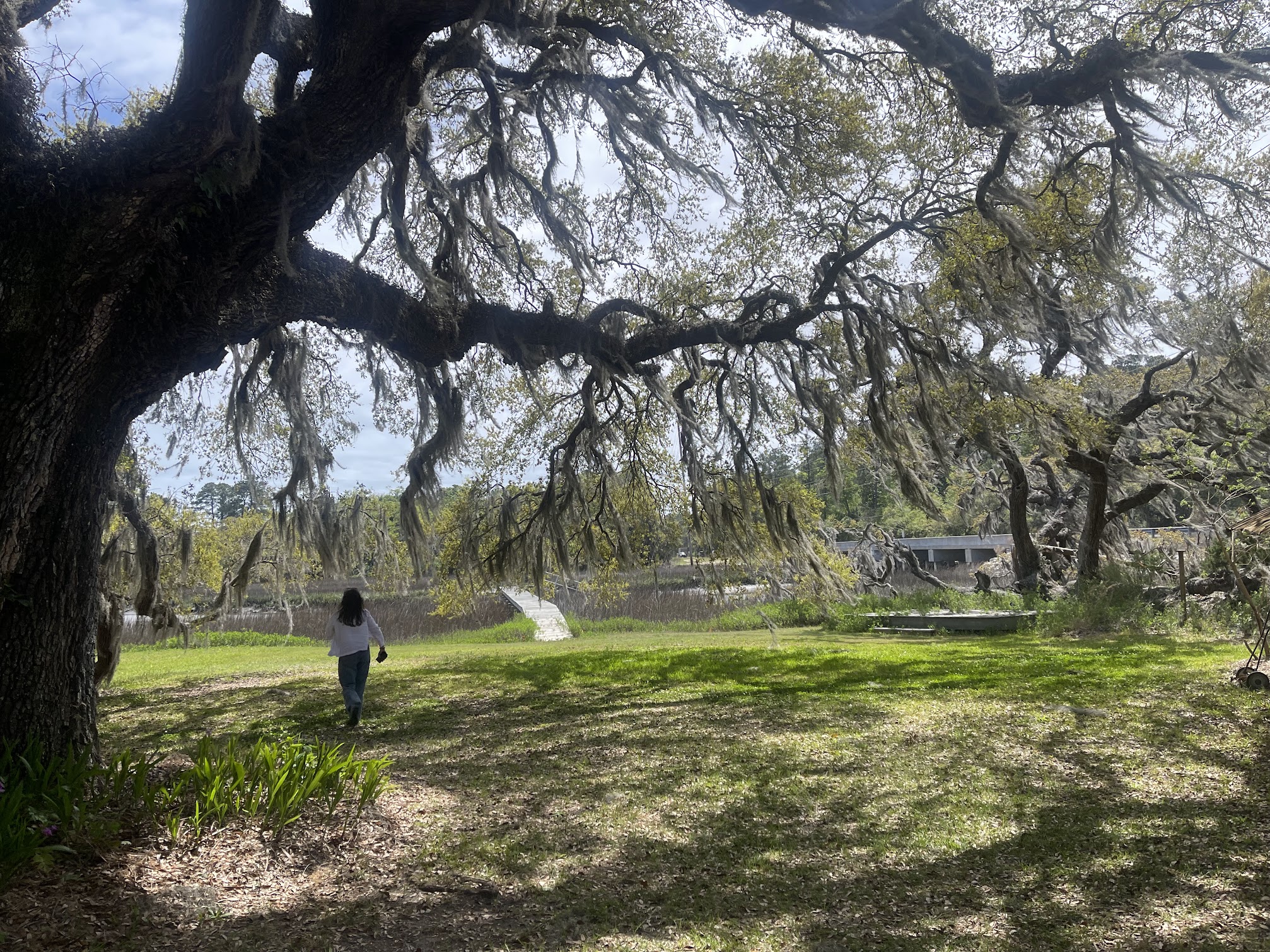 Edisto Island Open Land Trust headquarters on Edisto Island